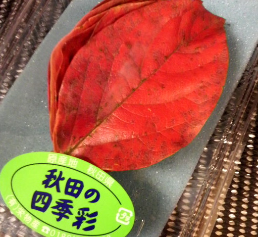 柿の葉.jpg
